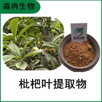 森冉生物 枇杷叶提取物 芦橘叶提取物 比例提取原料粉